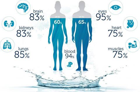 Il nostro corpo è composto di circa il 70% da acqua